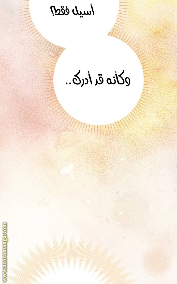 الصفحة 42