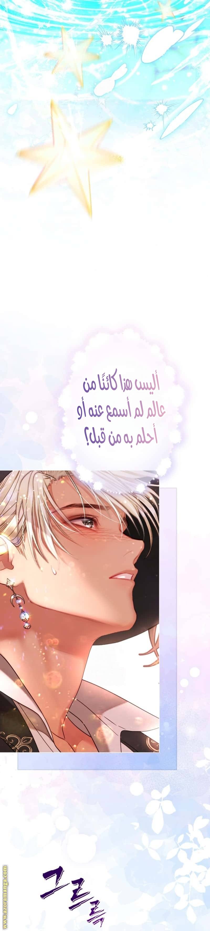 الصفحة 21