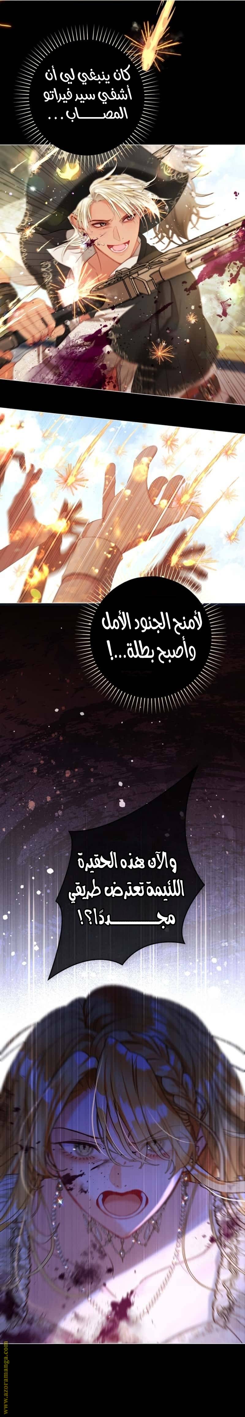 الصفحة 26