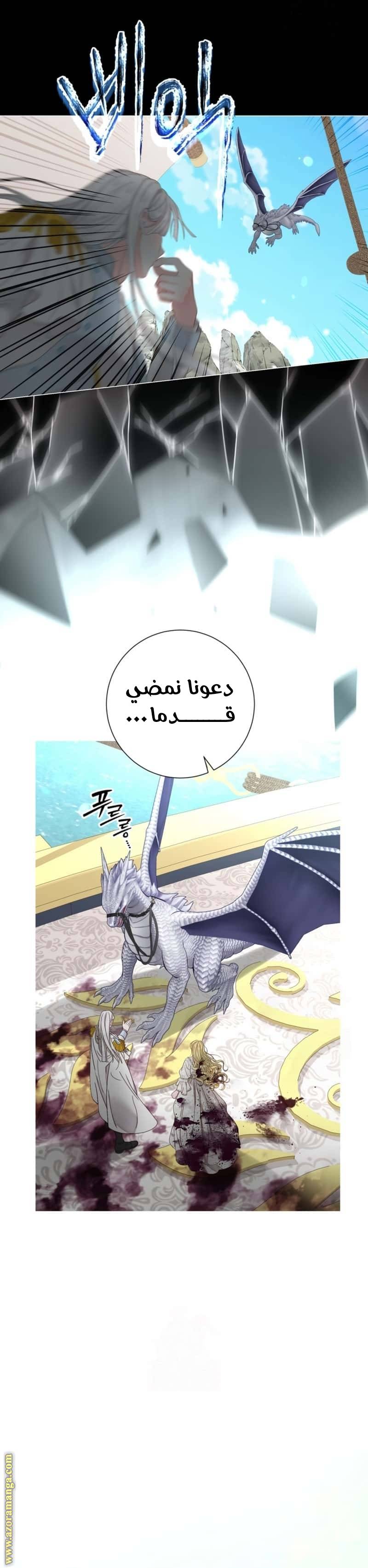 الصفحة 29