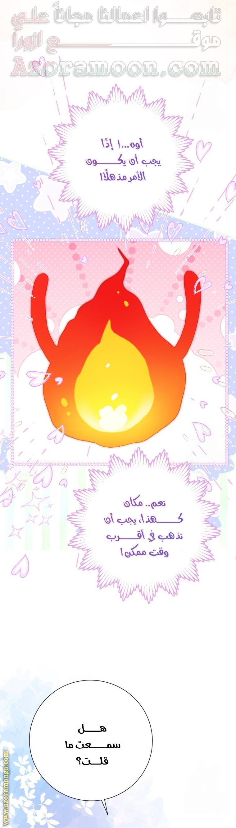 الصفحة 29