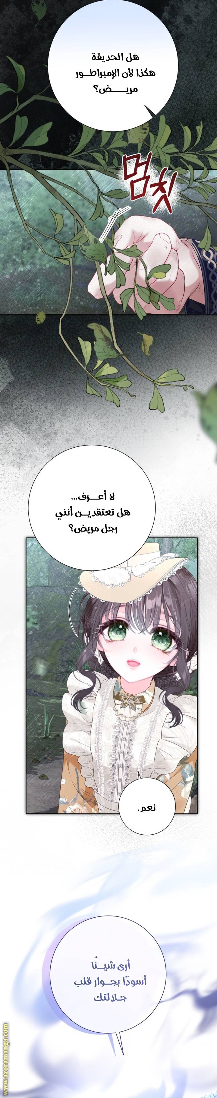 الصفحة 27
