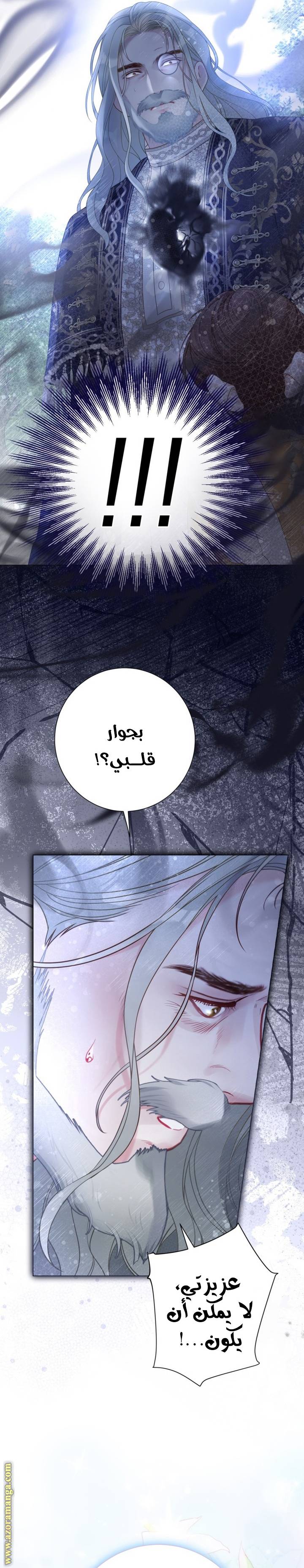 الصفحة 28