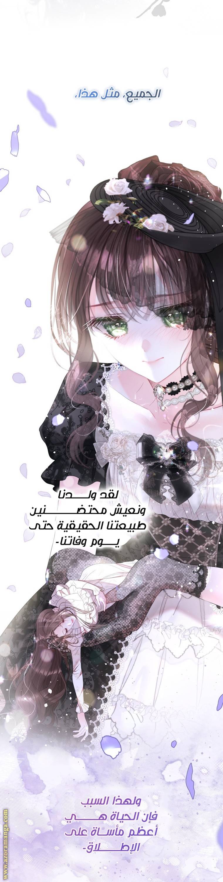 الصفحة 29