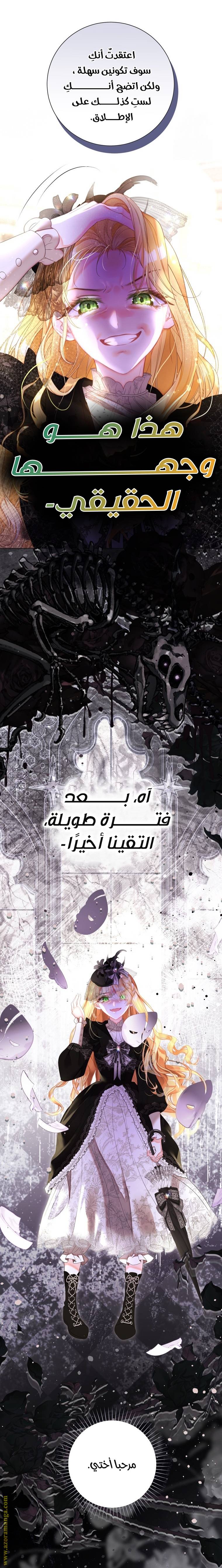 الصفحة 40