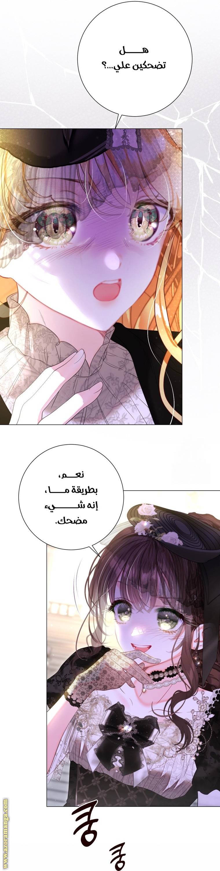 الصفحة 42