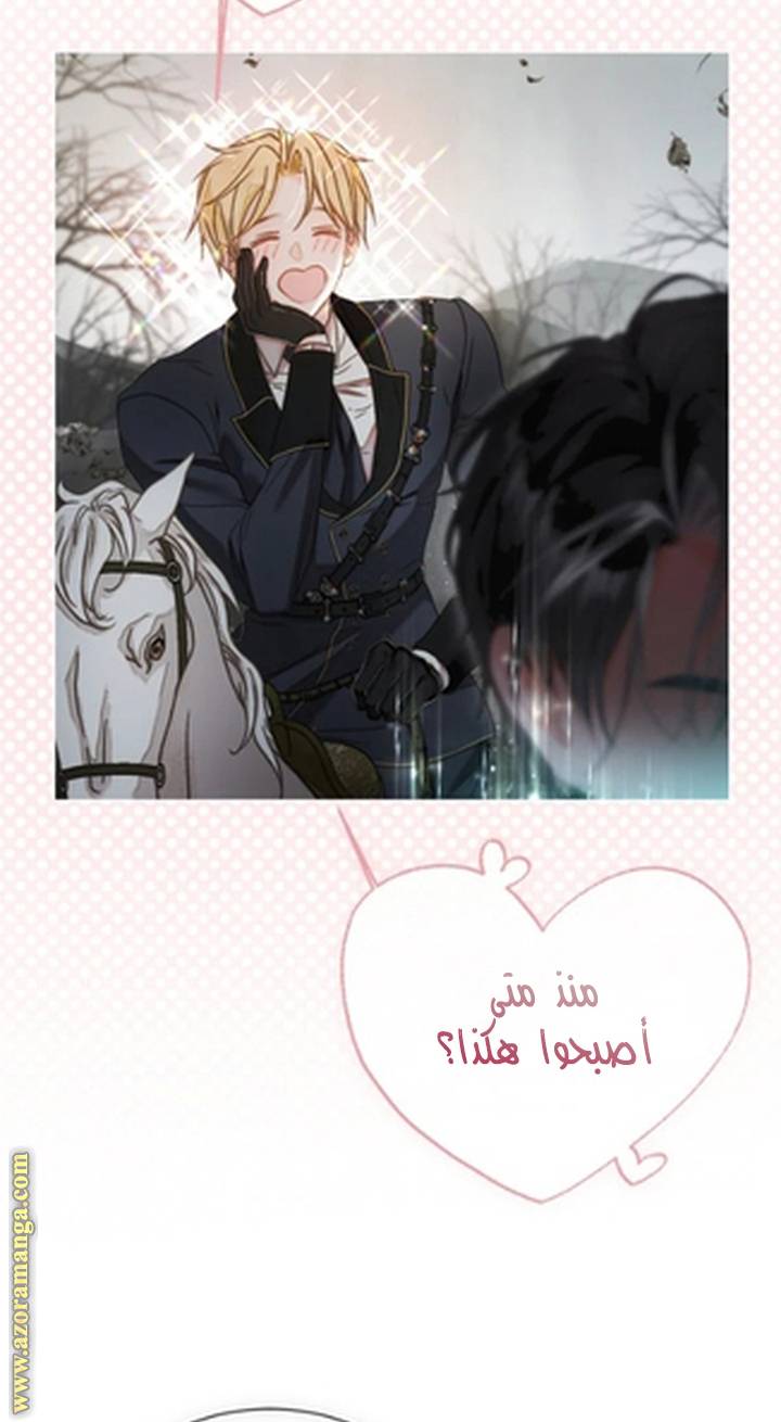 الصفحة 46