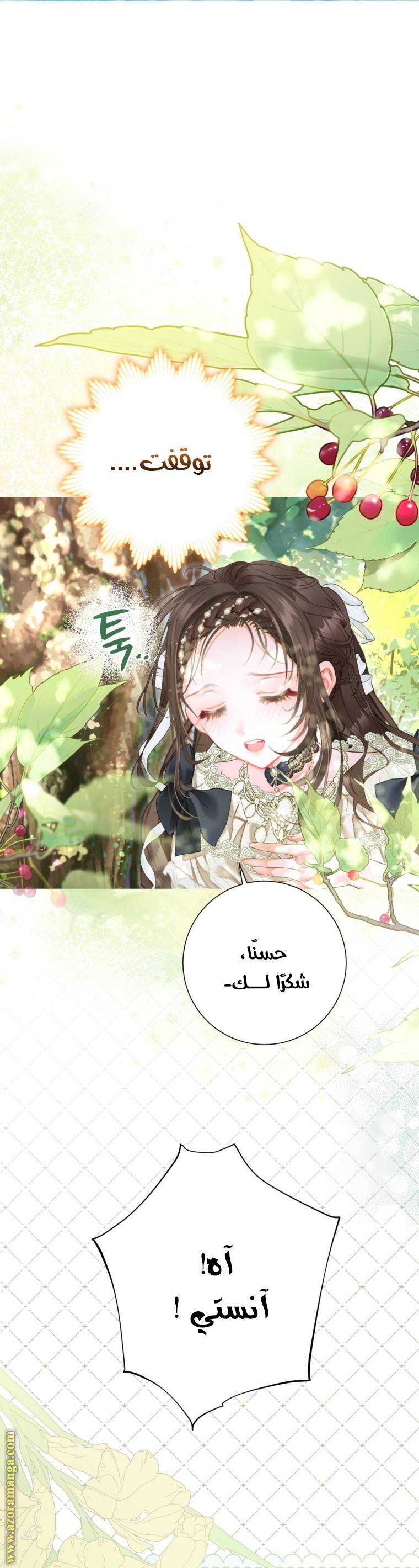 الصفحة 29
