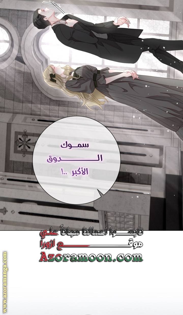 الصفحة 48