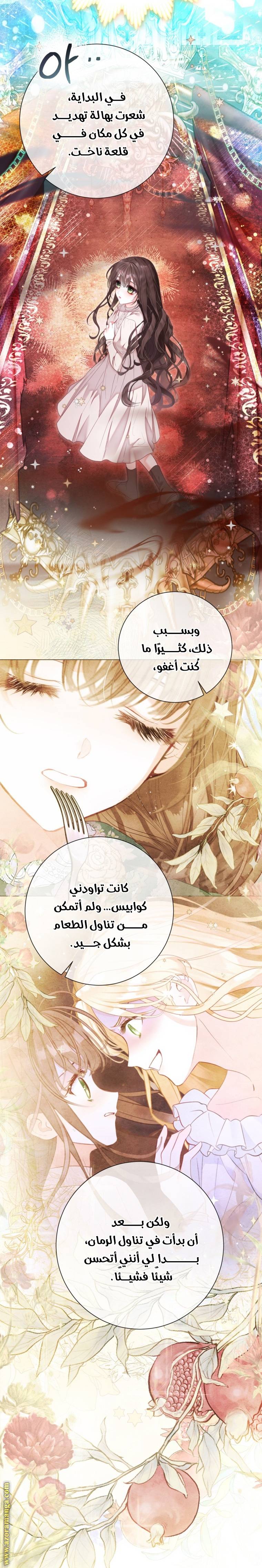 الصفحة 12