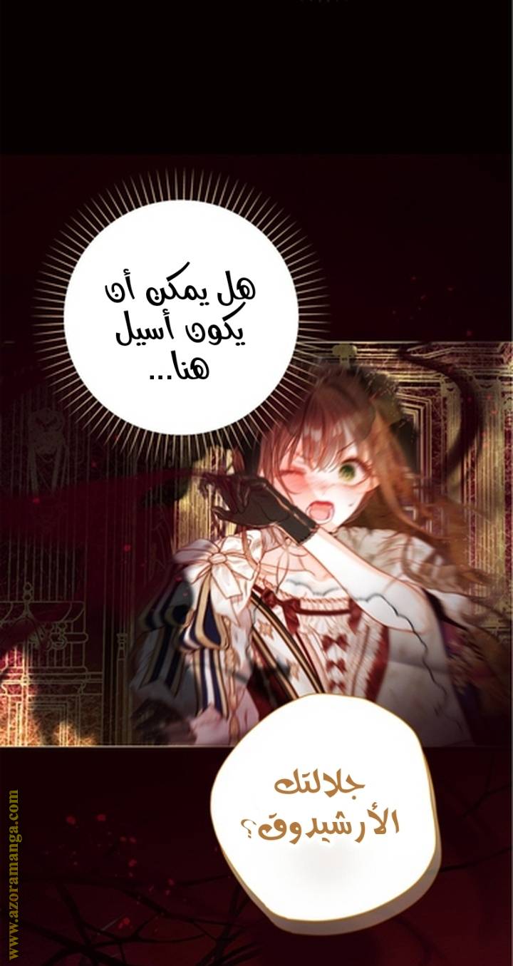 الصفحة 23