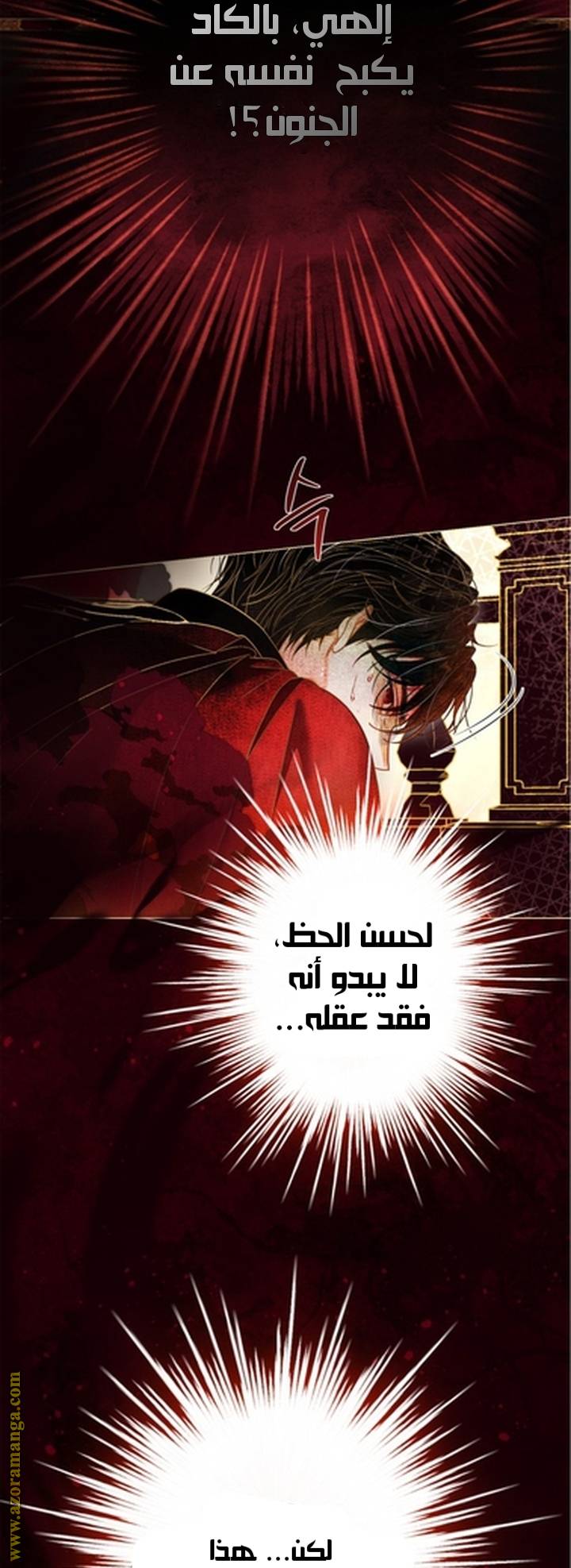 الصفحة 25