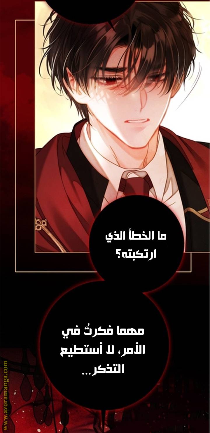 الصفحة 30