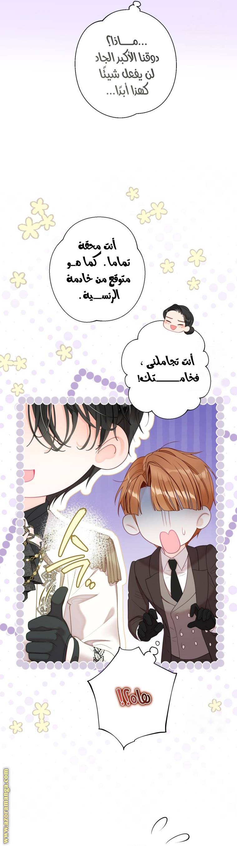 الصفحة 26