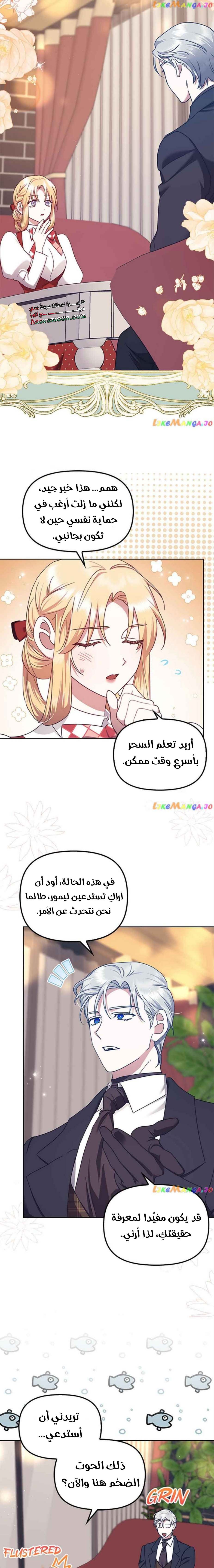 الصفحة 11