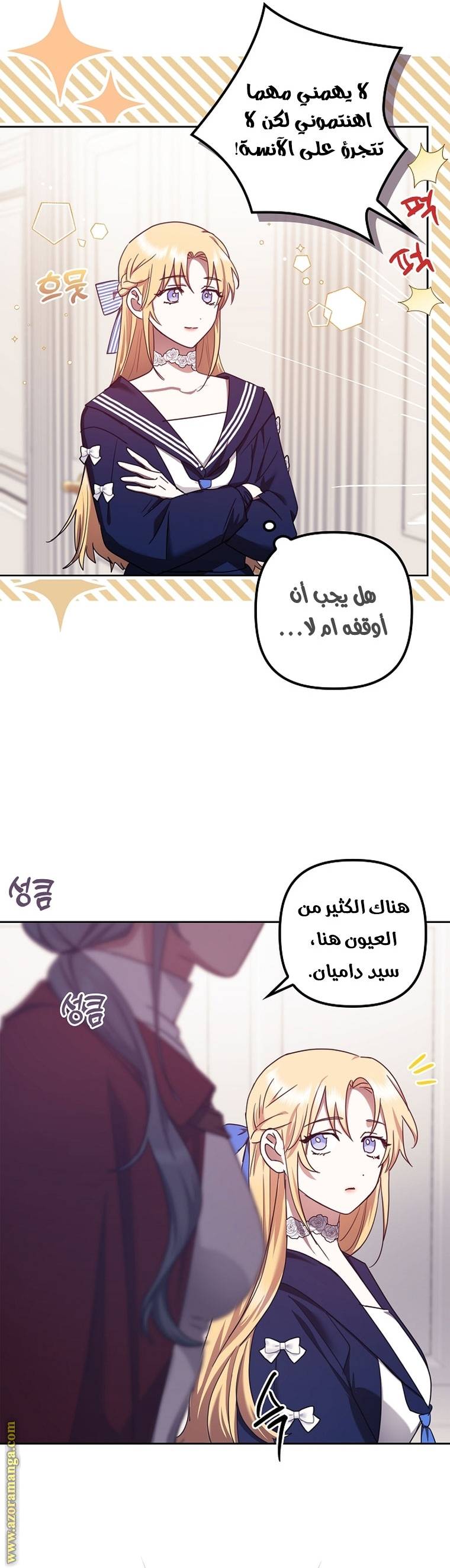 الصفحة 17