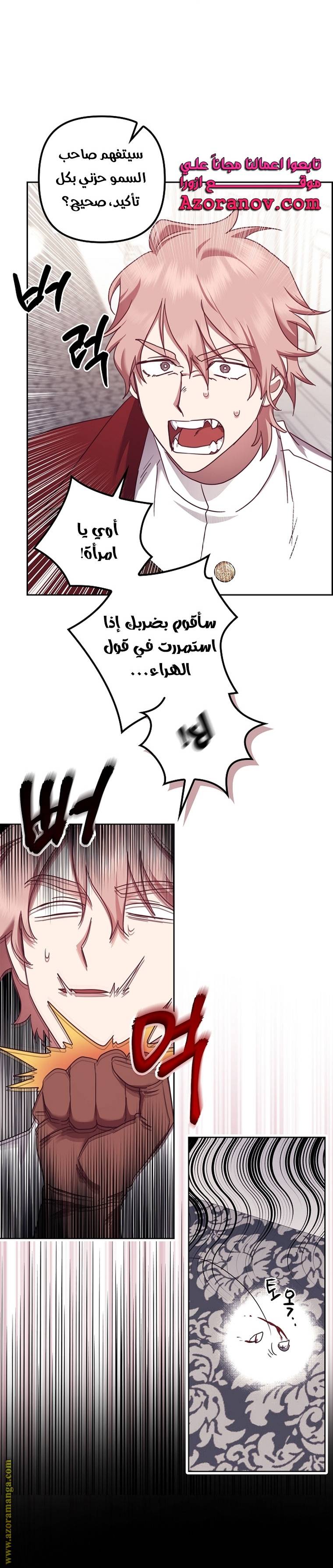 الصفحة 22