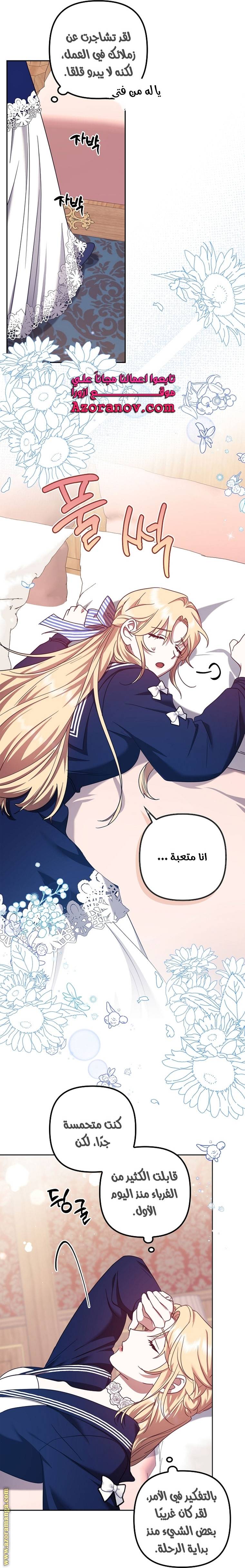 الصفحة 29