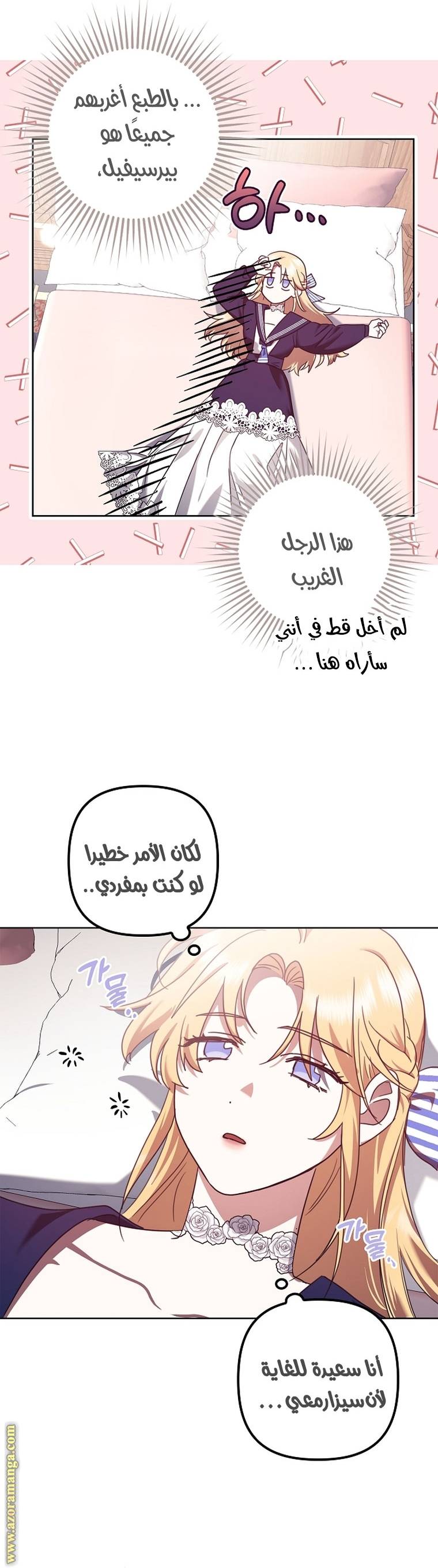 الصفحة 31
