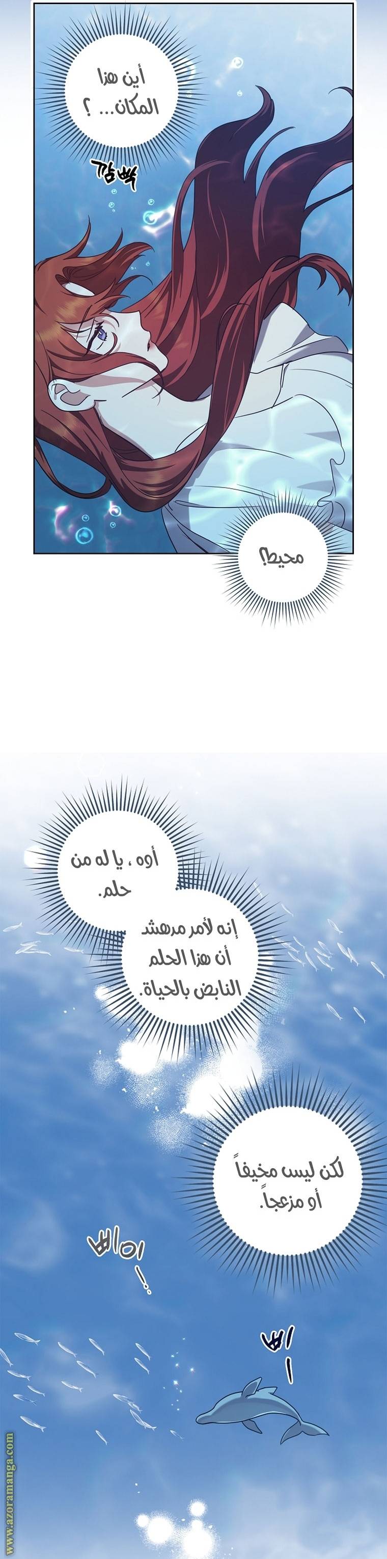 الصفحة 34