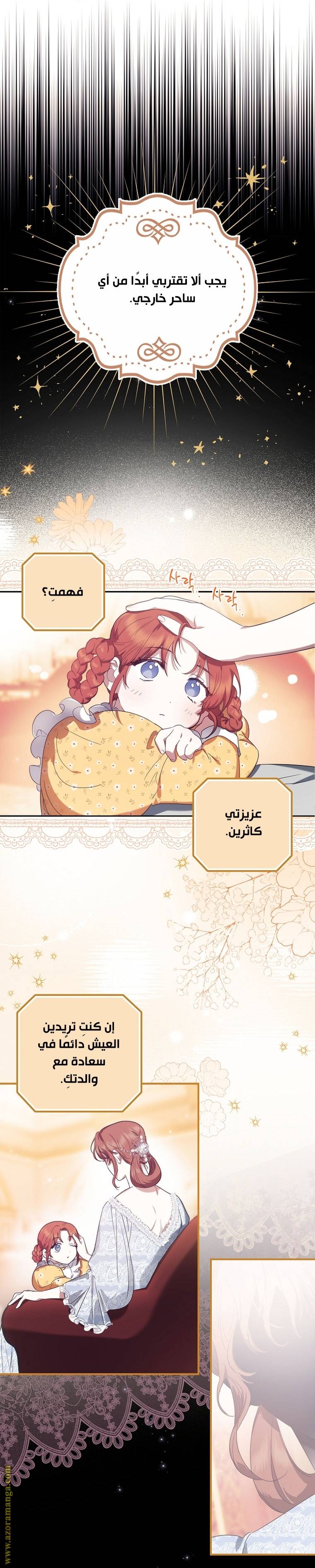 الصفحة 13