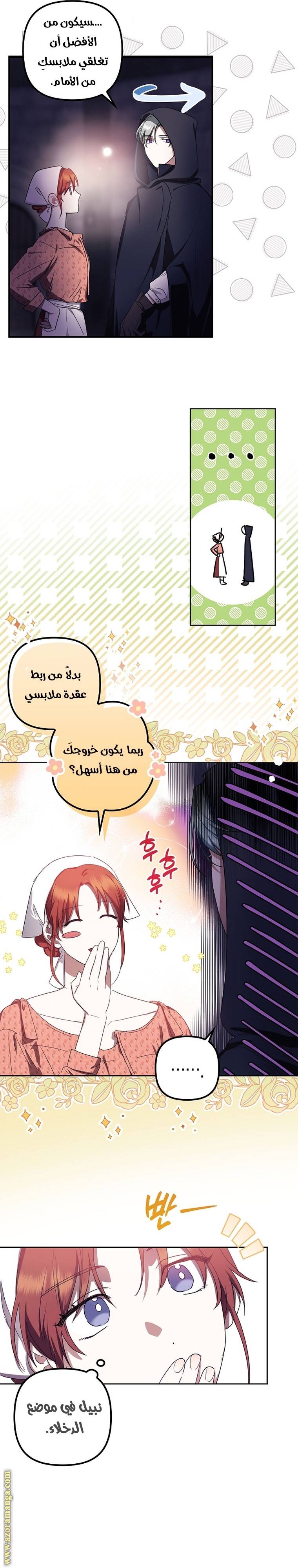 الصفحة 21