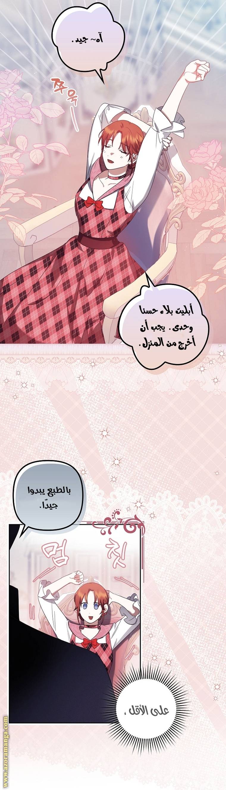 الصفحة 26