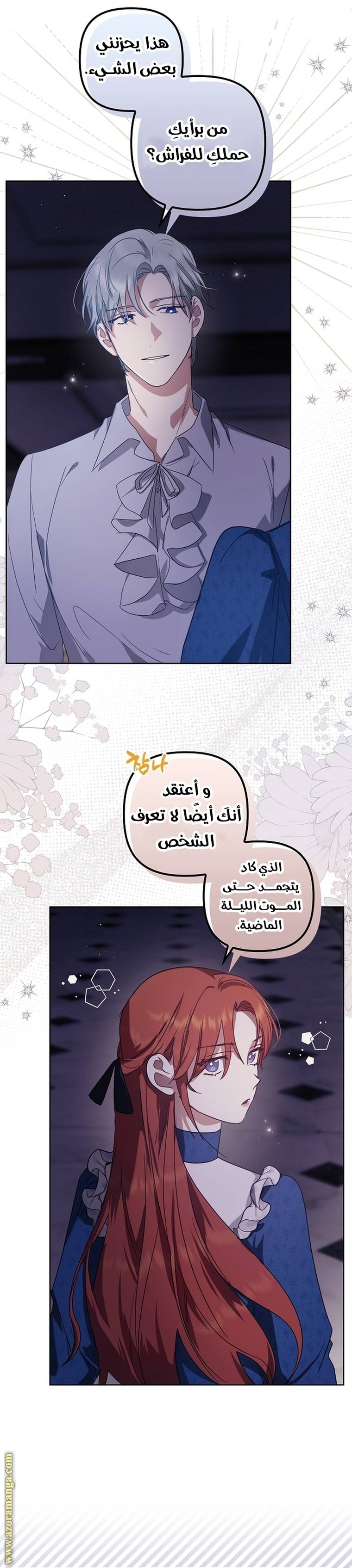 الصفحة 13