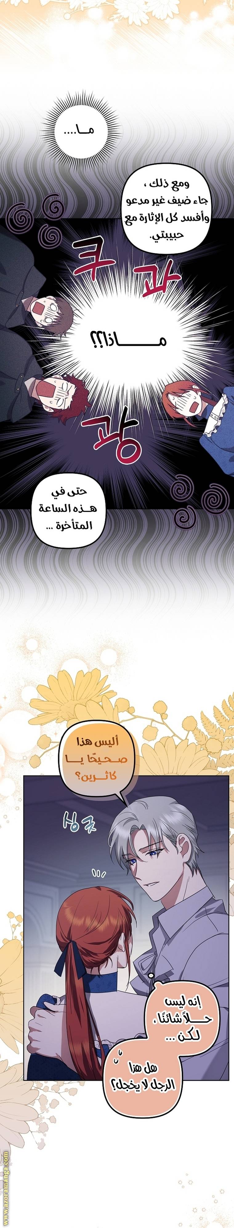 الصفحة 25