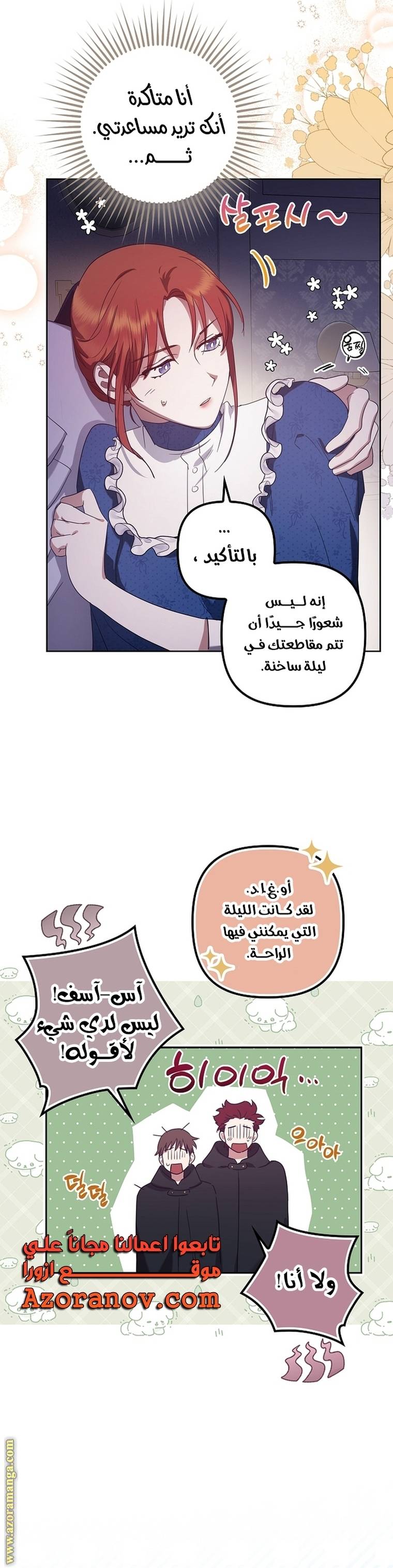 الصفحة 26