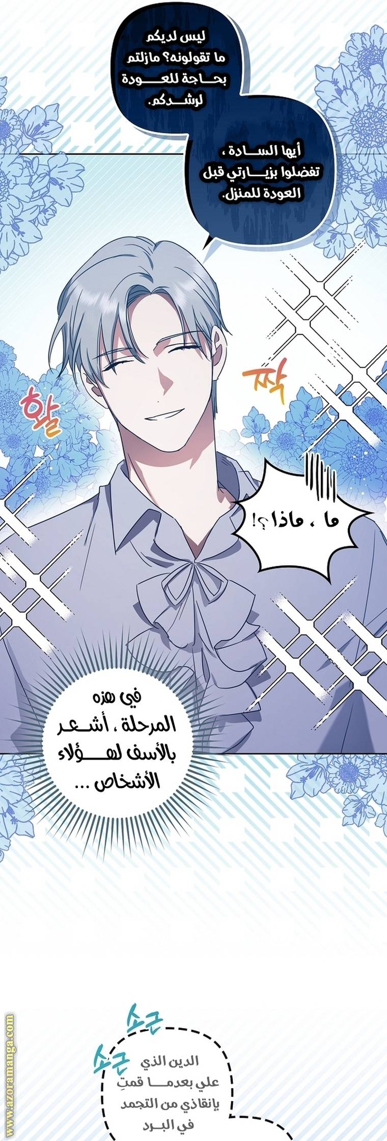 الصفحة 27