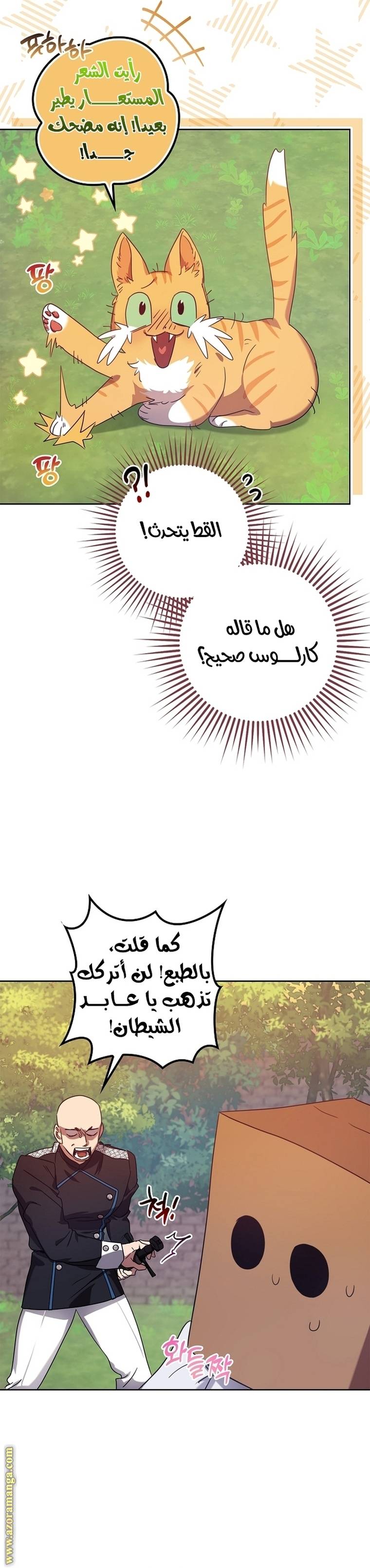 الصفحة 19