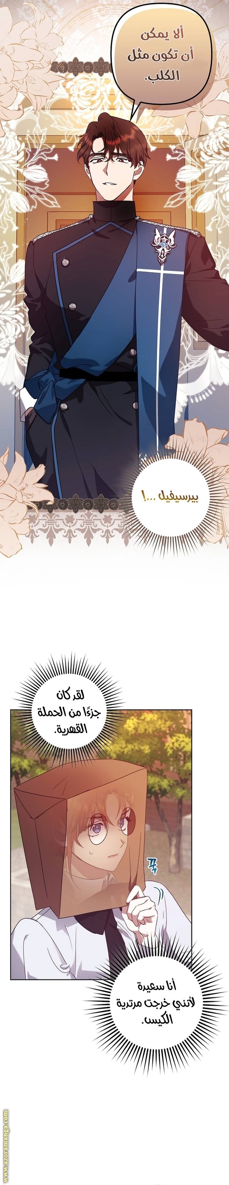 الصفحة 21