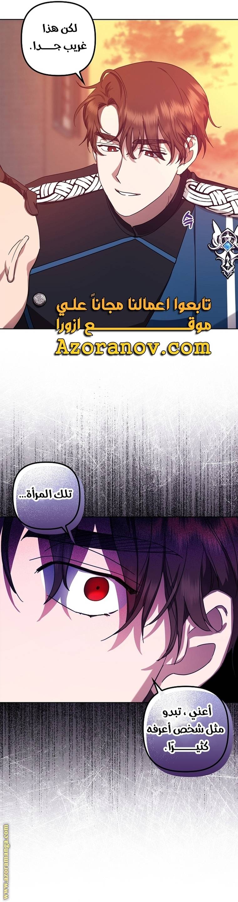 الصفحة 25