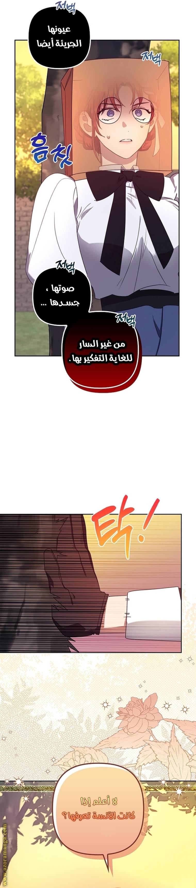 الصفحة 26
