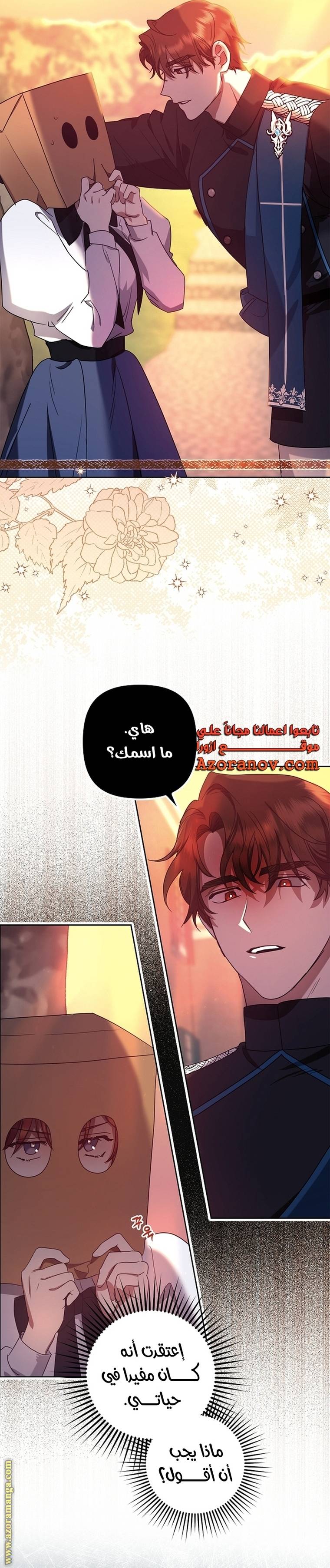 الصفحة 27