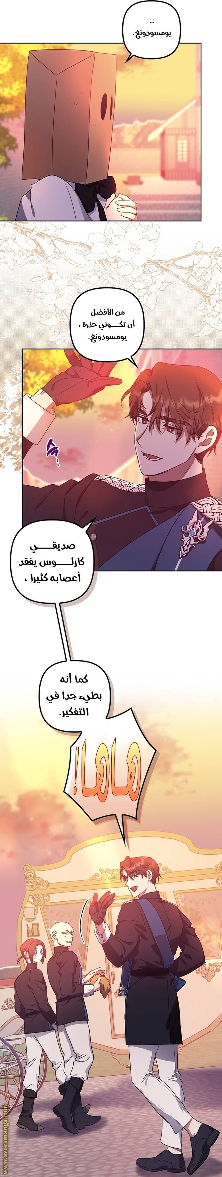 الصفحة 29