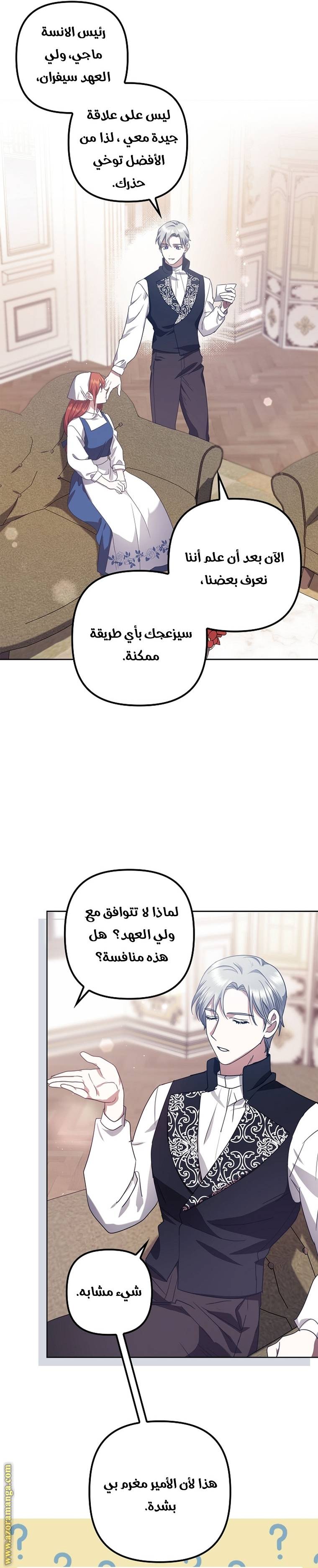 الصفحة 17