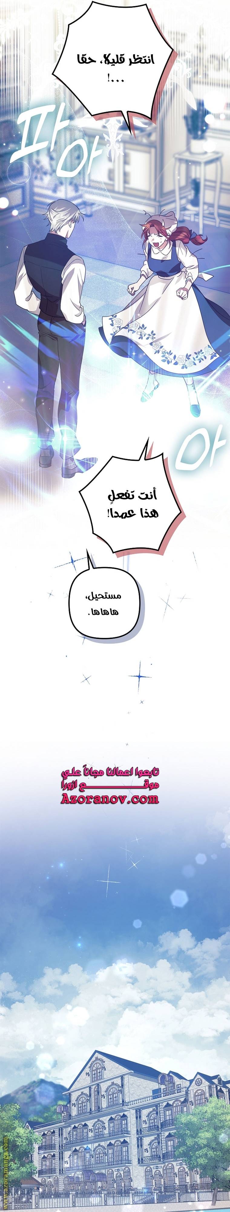 الصفحة 26