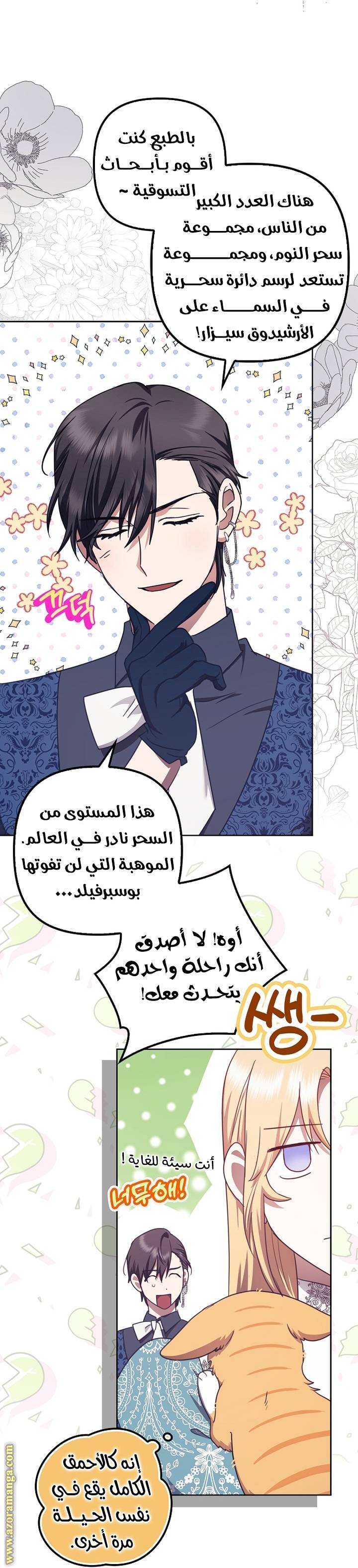الصفحة 13