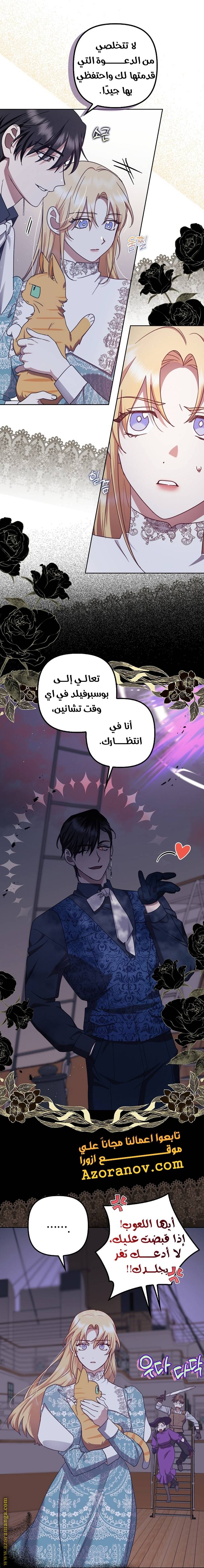 الصفحة 20