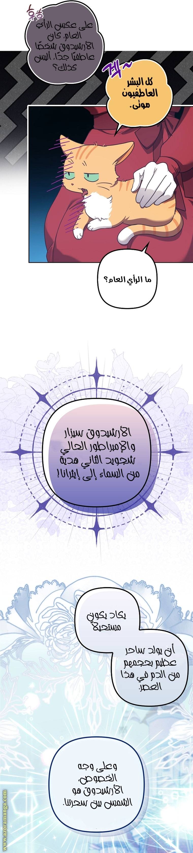 الصفحة 12