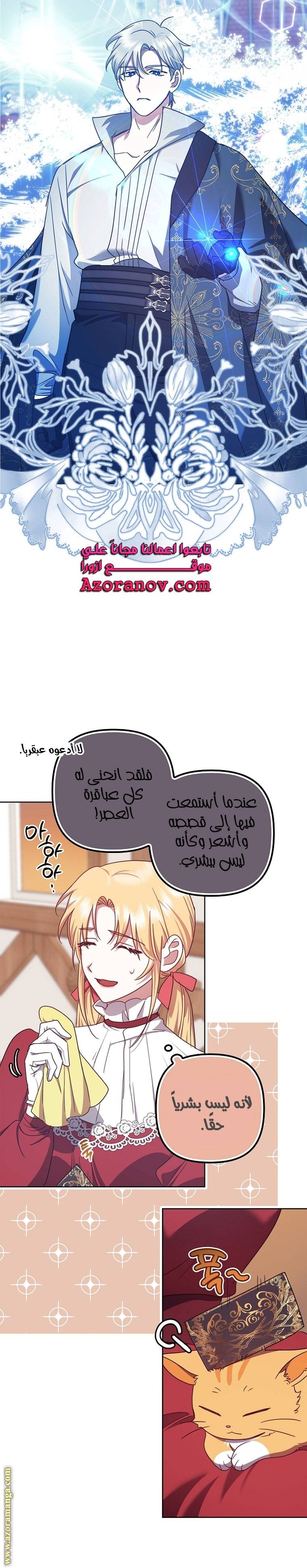 الصفحة 13