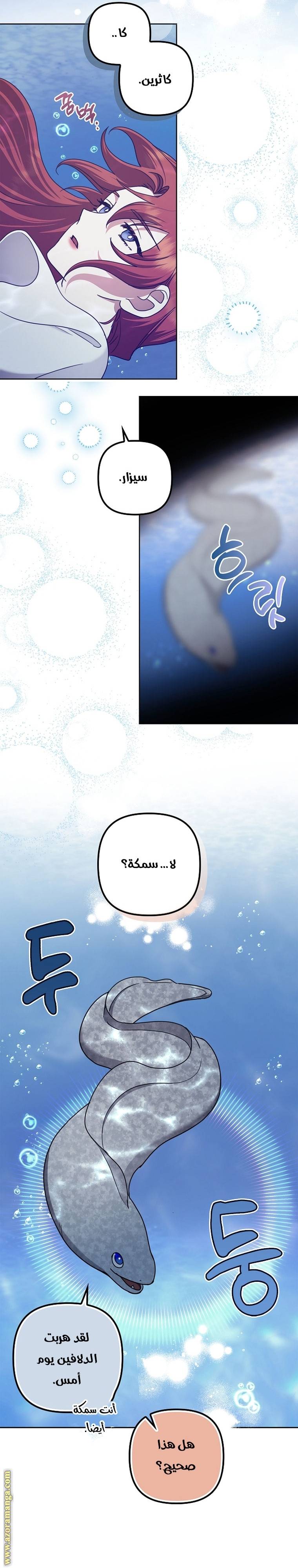 الصفحة 17