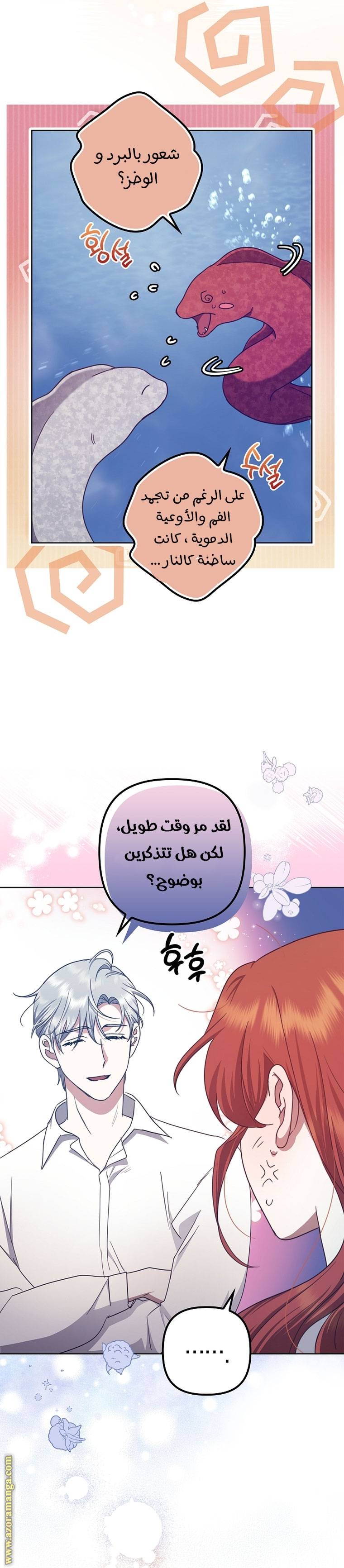 الصفحة 24