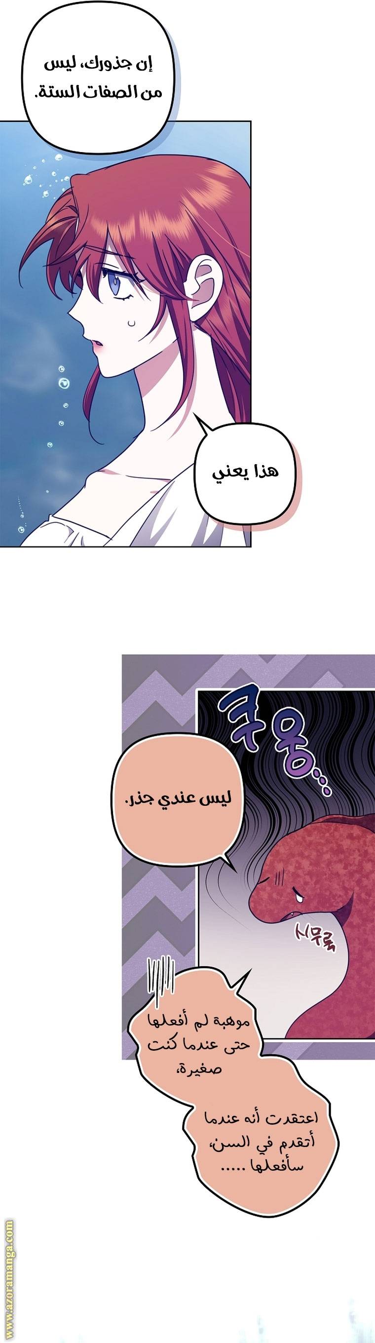 الصفحة 27