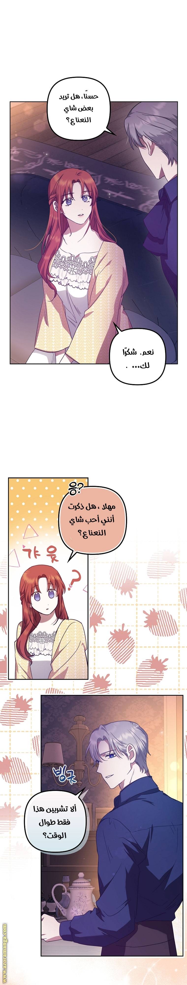 الصفحة 25