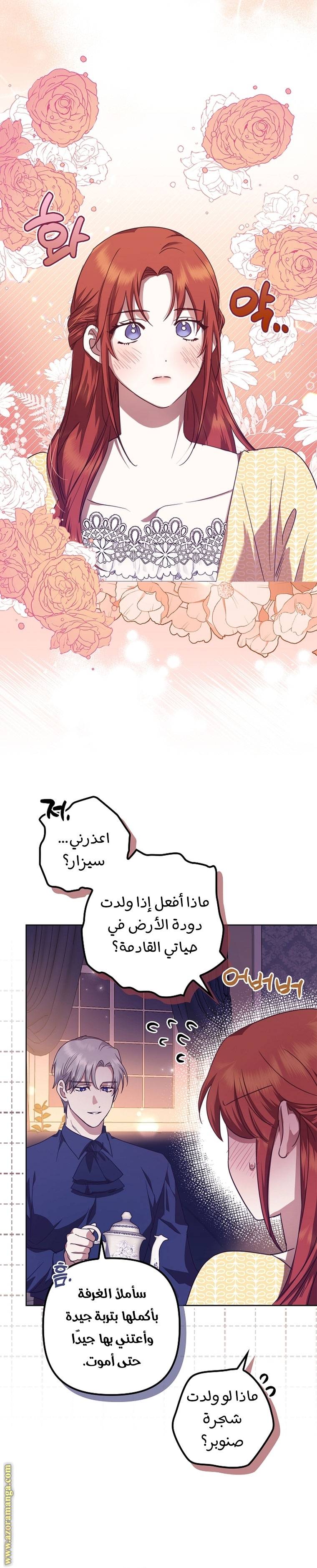 الصفحة 26