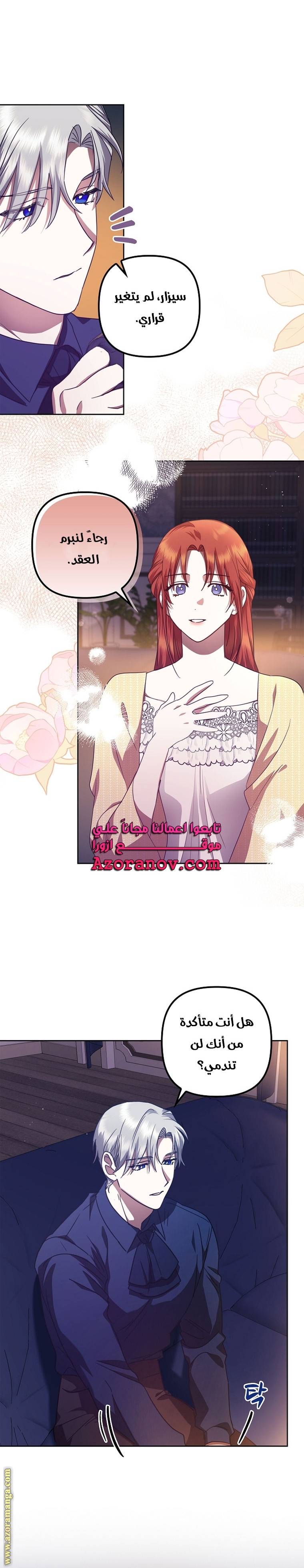 الصفحة 29