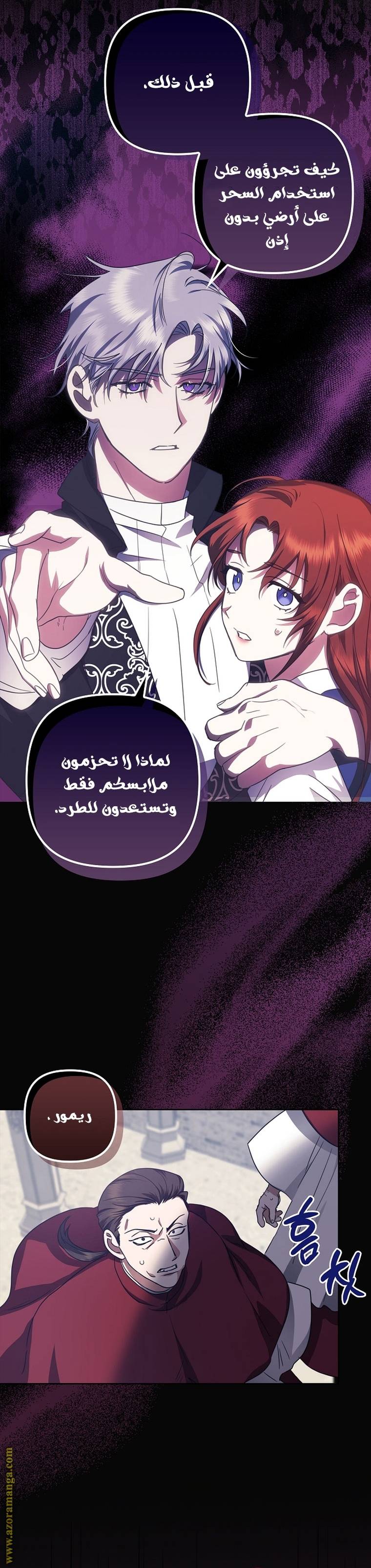 الصفحة 13
